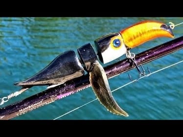 Making a Toucan Lure