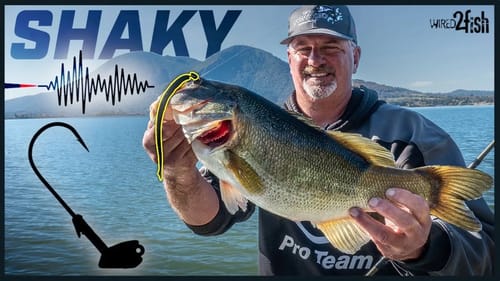 Shaky Head Worm Basics for Sluggish Bass | Mop-up Bait!