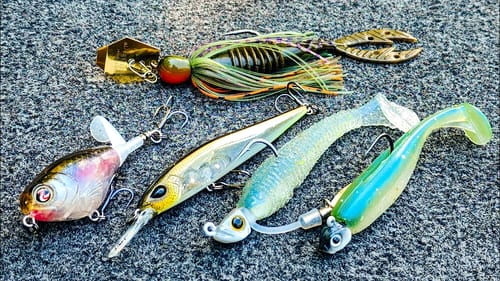 The Bass Fishing Trick You've Never Tried! Finesse Reaction Baits!