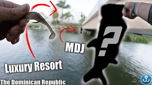 You've NEVER seen me Catch THESE Fish.. (Tiny Pond in our Resort)