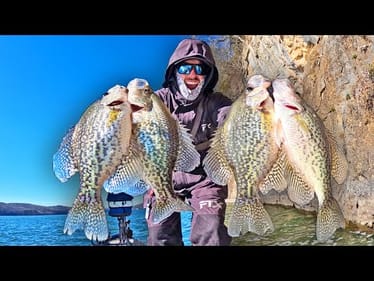 Catch Crappie Fishing BLUFF WALLS In The WINTER! (LOADED)