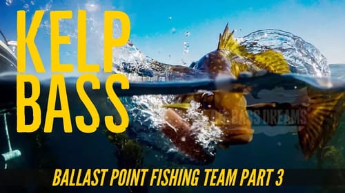 Ballast Point Brewery Fishing Team Part 3 - Kelp Bass at San Clemente Island