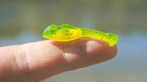Fishing with MICRO Frogs!!