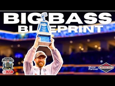 The Big Fish Blueprint: Catch Giants On Purpose… Not By Accident 📱