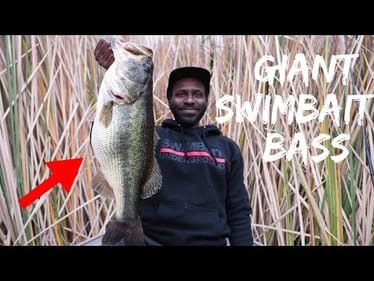Catching A Giant Bass On A Big $110 Trout Swimbait! // Chasing The One