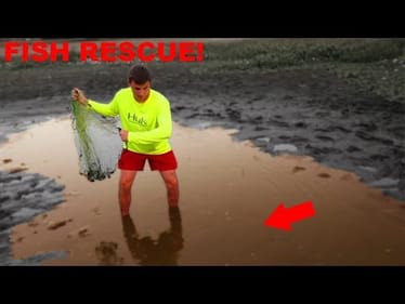 CAST NETTING A Tiny Puddle (Fish Rescue!)