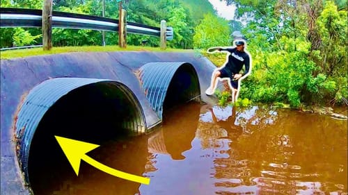 We FOUND MONSTER FISH in ROADSIDE CREEKS!! (EPIC)