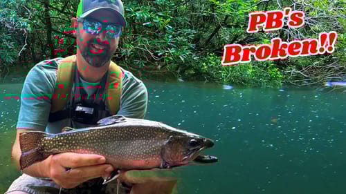 Amazing Creek Fishing! CAMP and COOK!