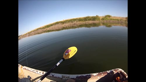 Fresno Bass Fishing 2013