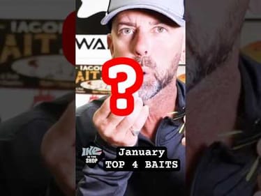 My #1 BAIT For The Month Of January 🎣 Ike In The Shop #winter #bass #fishing