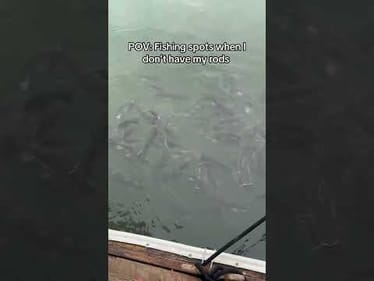 Fishing spots when you don’t have your rod #fishing