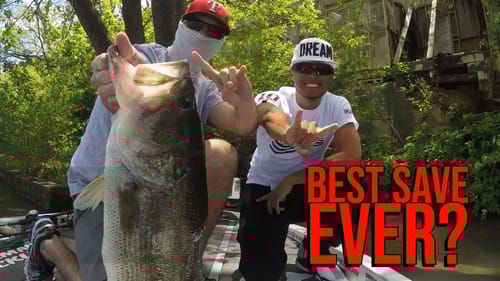 Net Man of the Year?!  Big Swimbait Fish Jumps Off on the HPH Herring