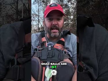 Best Baits for Shad Balls: Fishing Depth Strategy #shorts