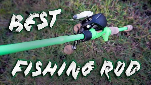 BEST All Purpose FISHING ROD
