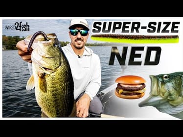How Bob Downey Upsizes the Ned Rig for Tough Bites