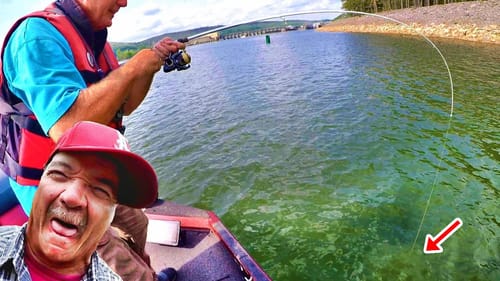 You Never Know WHAT You Will Hook With LIVE BAIT! (Insane!)