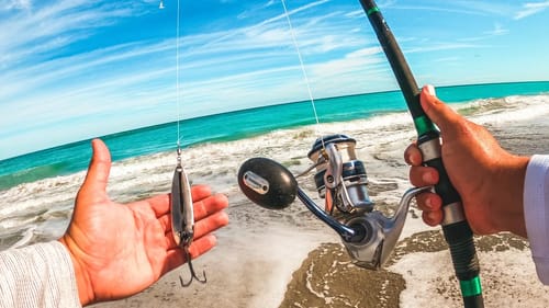 Simple Lure Catches Tons of Fish | Spoon Fishing Off the Beach