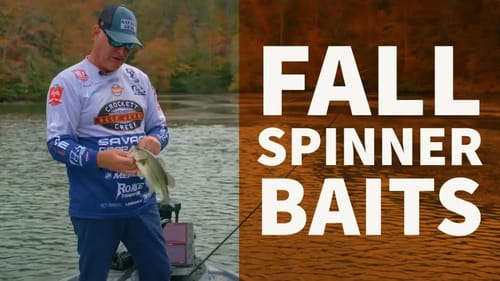 BEST Place for Bass Fishing This Fall! [Fish Chasing Bait]
