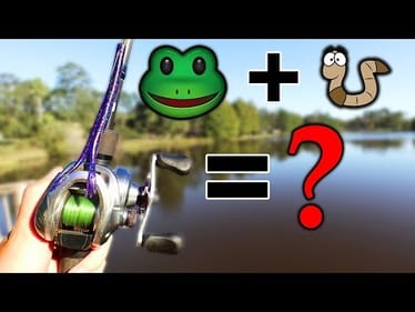 This WEIRD Bass Fishing Lure Actually WORKS!