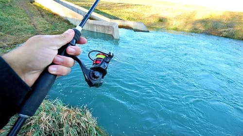 Unexpected Big Fish LOADED Behind Flooded Spillway!!!