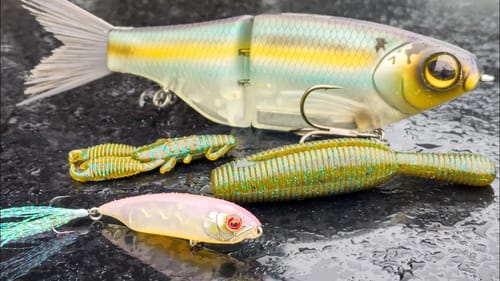 Bait Finesse Gear ( BFS ), Aluminum Boat, And Shallow Water! Let's Go Bass Fishing!!