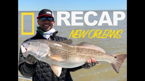 Fish My City NEW ORLEANS Recap