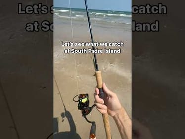 Let’s see what we catch at South Padre Island, Texas #fishing