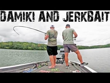 DAMIKI RIG and JERKBAIT Fishing a Hidden Public Lake! (GIANTS)
