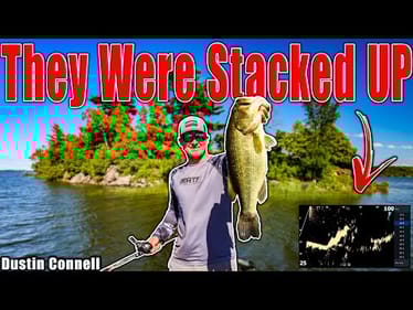 I Found a School of GIANT BASS! One Bite Clued Me in.