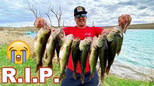 Removing HARMFUL Unwanted Bass from a Pond!! [Catch Clean Cook]