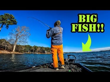 AGGRESSIVE Fish CRUSH a Tiny SWIMBAIT!!!