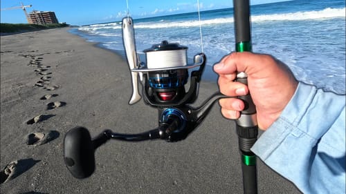 Is This The BEST Saltwater Fishing Reel? (Daiwa Saltist)