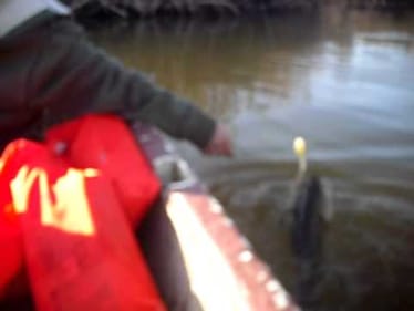 snake fishing lure