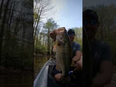 Old School Bait Catches a GIANT BASS