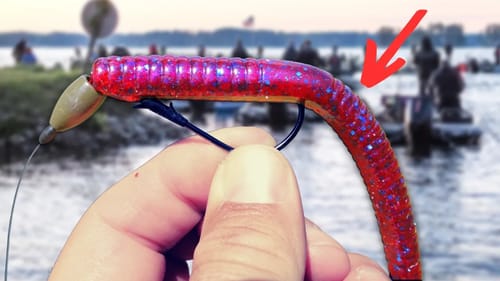 Can A Simple TEXAS RIG Beat The Locals??