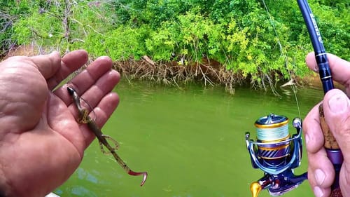 BASS FISHING SECRETS!!! Tips and Tricks For Catching More Fish!