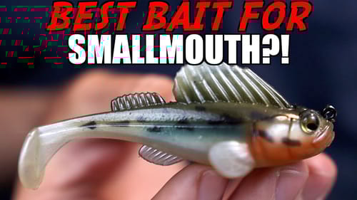 This is My FAVORITE Bait for Smallmouth Bass! (Megabass Dark Sleeper)