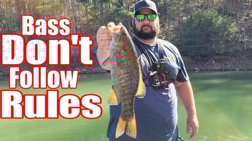 Bass Don't Always Follow The Rules