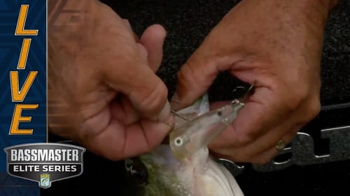 Hook in the hand, Bass in the boat for Todd Auten