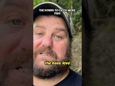 Power For Fall Bass