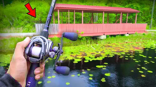 Catching GIANT Bass on FROGS! (Lake Fishing)
