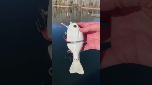 Swimbait Review: Lanciotti Psycho Gill
