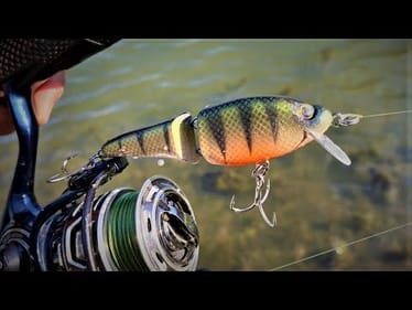 Suspending Jointed JerkBait | One Day Build to Catch