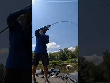 Swingin' on Em!! #shorts