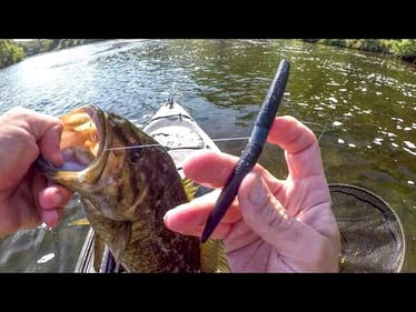 I Couldn't Keep The Fish Off This Rig!