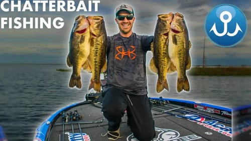 Land of the Giants | Florida Chatterbait Largemouth Bass Fishing