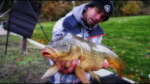 Going Ike! Fishing for MONSTER Carp In Philadelphia (Season 3 Ep:4)