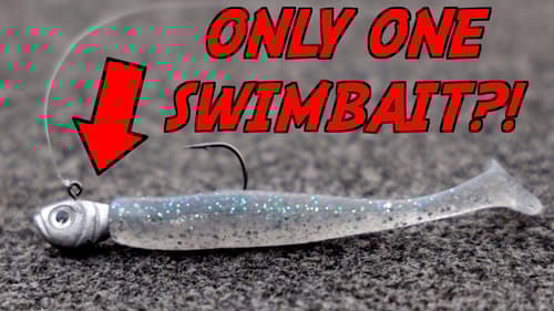 You WON'T BELIEVE How Many Bass I Caught With One Swimbait!