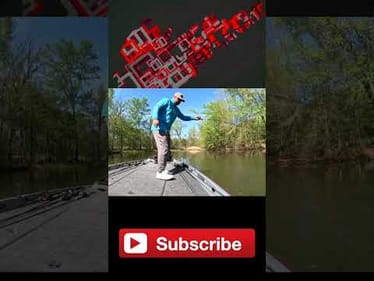 This TINY Baits Gets BIG Bites When It Counts!
