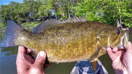 Bed Bass, A Few Stragglers, And A Broken Rod